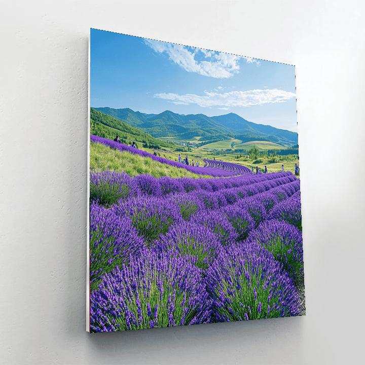 Hokkaido Lavender Fields Paint By Numbers