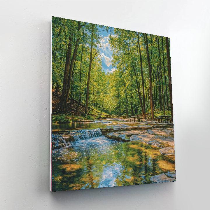 Bubbling Springs Number Painting