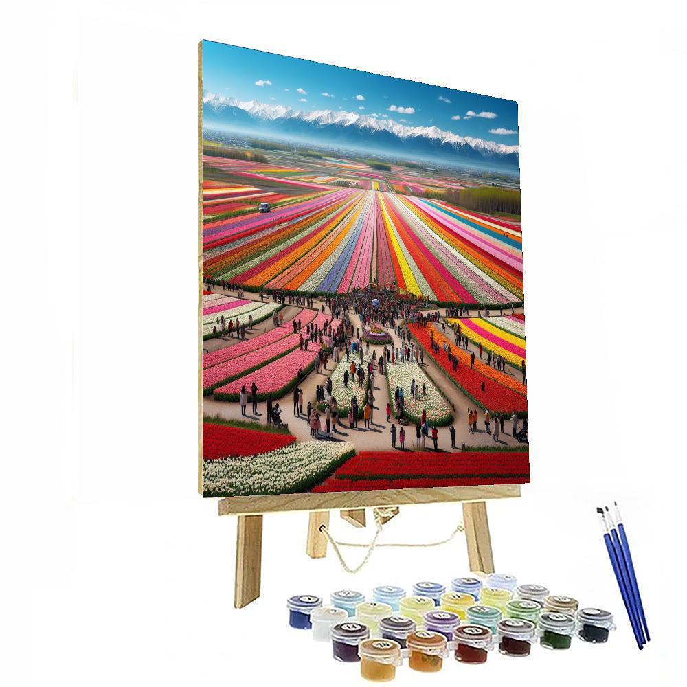 Tulip Festival - Usa Paint By Numbers Kits