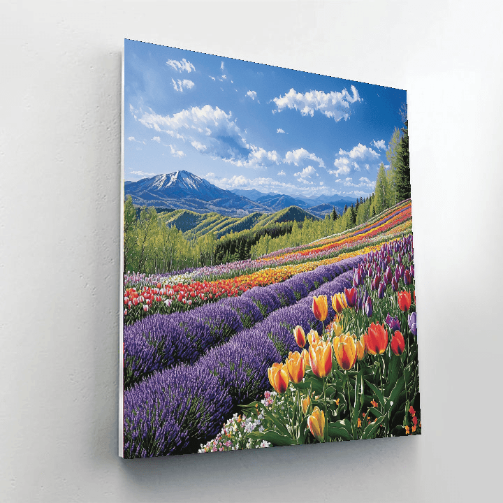 Hokkaido's Flower Fields Paint By Numbers Kits