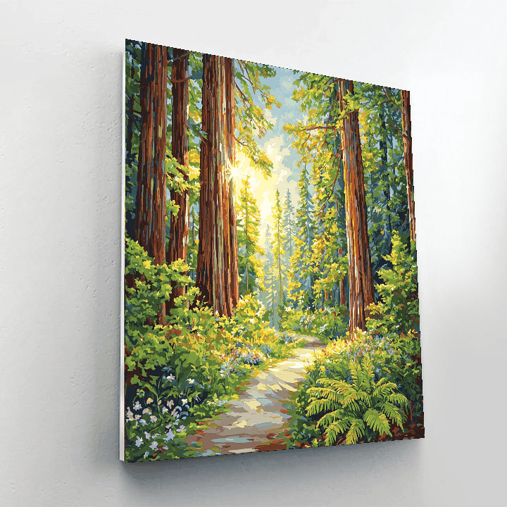 Redwood National And State Parks - California, Usa Numbered Painting Kits