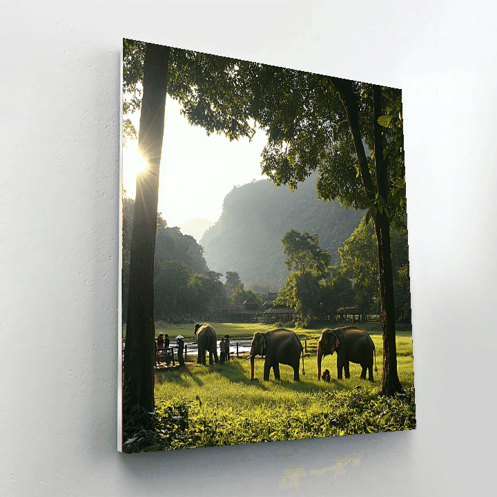 Elephant Sanctuary In Chiang Mai - Thailand Numbered Painting Kits