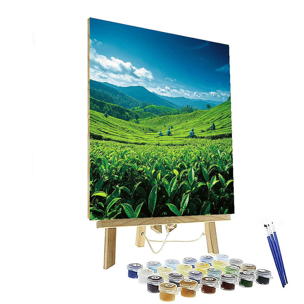 Munnar Tea Plantations Numbered Painting Kits