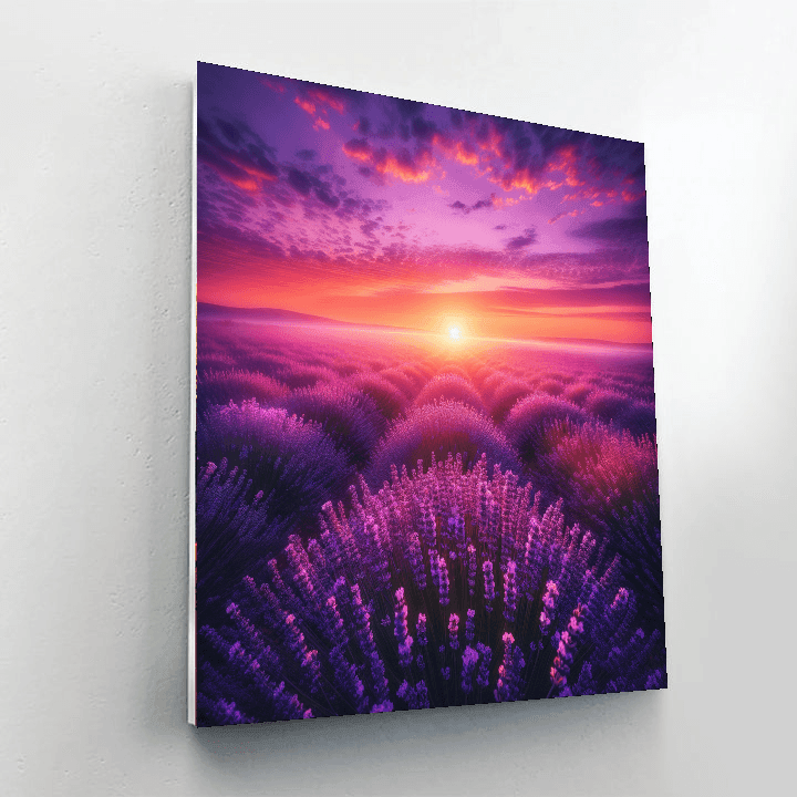 Sunrise Over Lavender Fields - DIY Painting By Numbers Kit