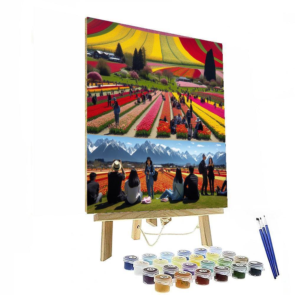 Tulip Festival - Skagit Valley, Usa Paint By Number