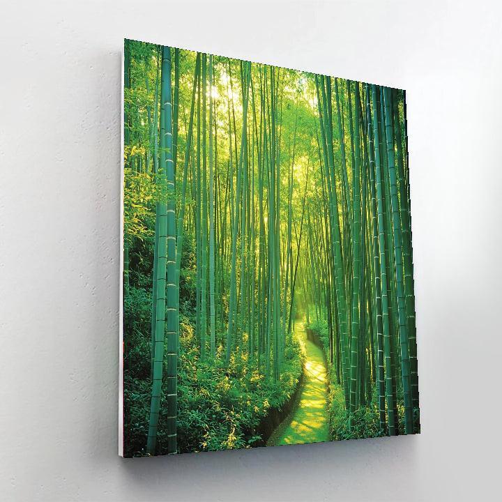 Kyoto Bamboo Forest - Japan Painting Number Kit