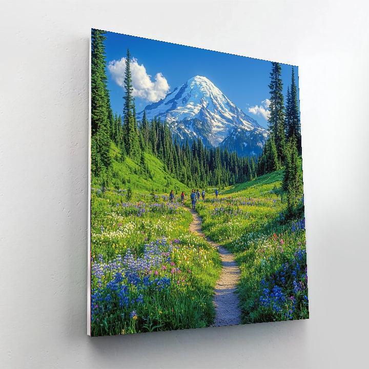 Mount Rainier National Park - Washington Paint By Number