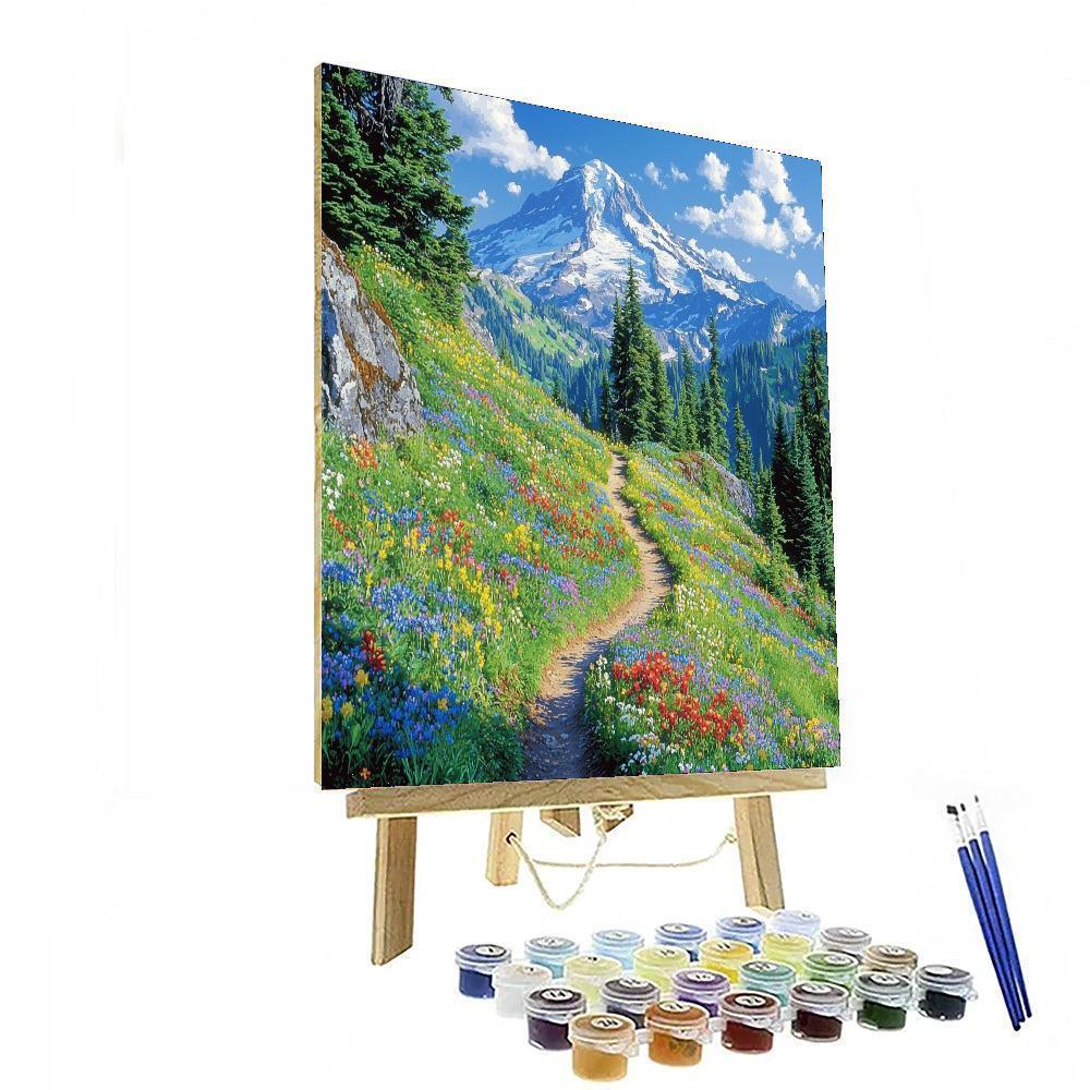 Mount Rainier National Park - Usa Numbered Painting Kits