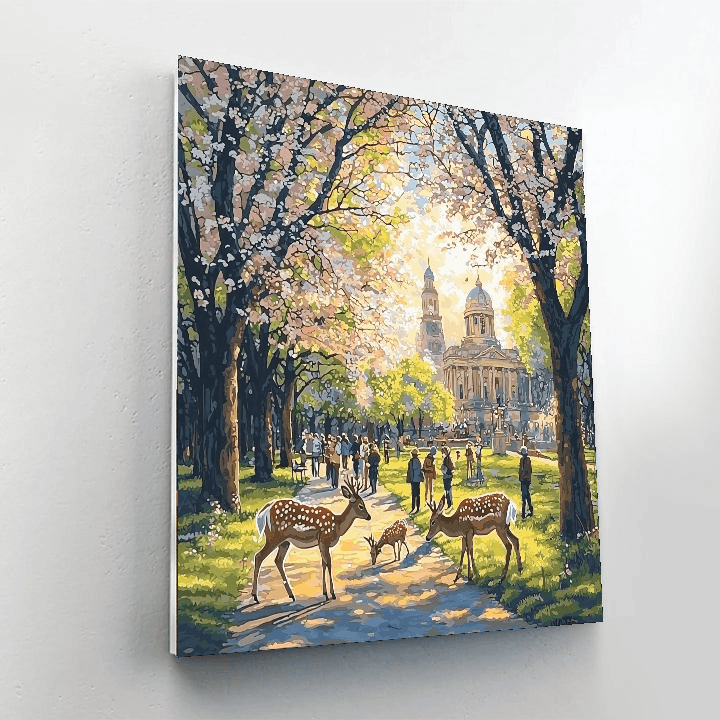Nara Park Paint By Numbers