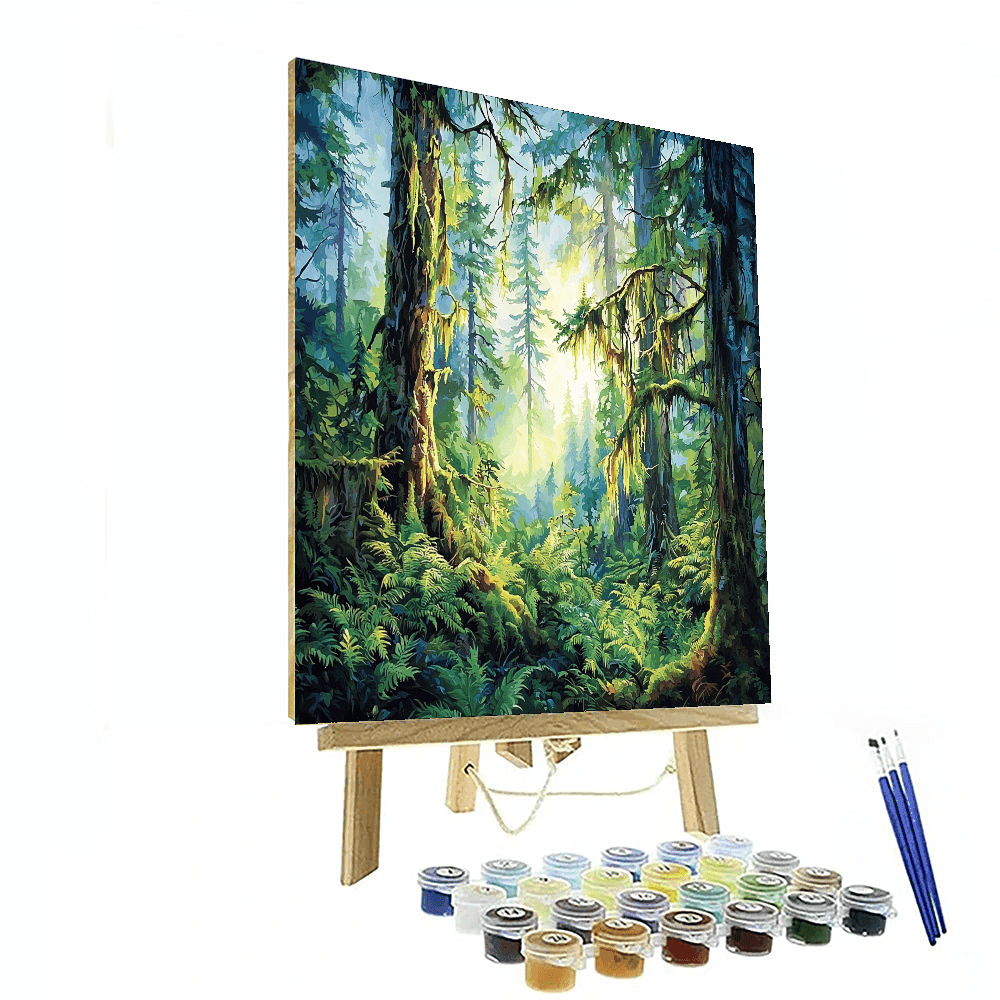 Hoh Rainforest - Washington Paint By Numbers