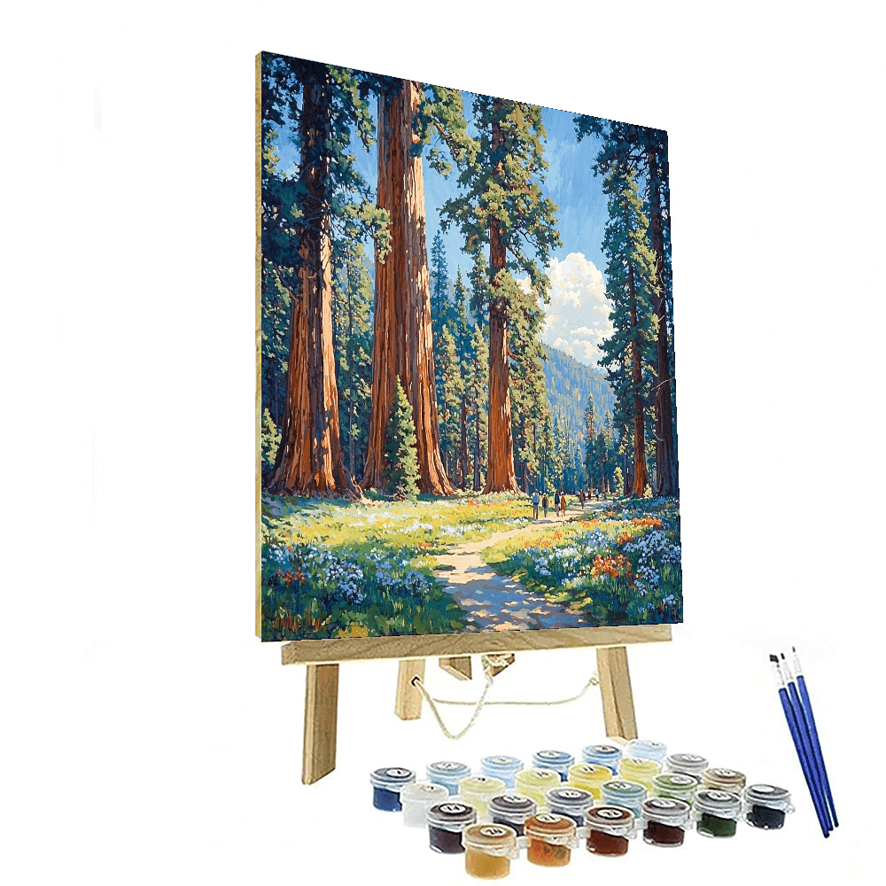 Sequoia National Park Paint By Numbers Kits