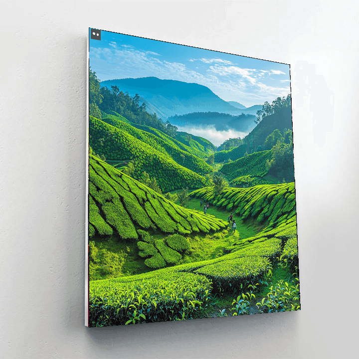 Munnar Paint By Color