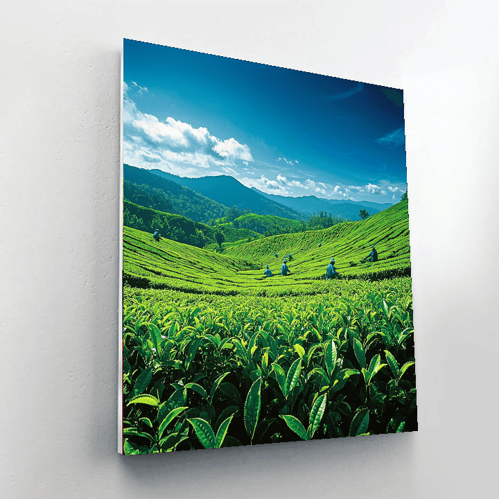 Munnar Tea Plantations Numbered Painting Kits