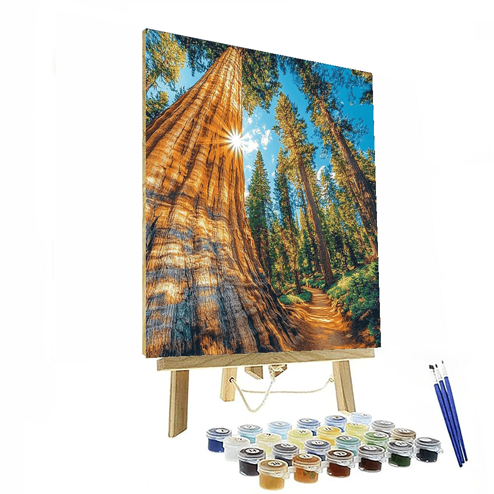Sequoia National Park - California Numbered Painting Kits