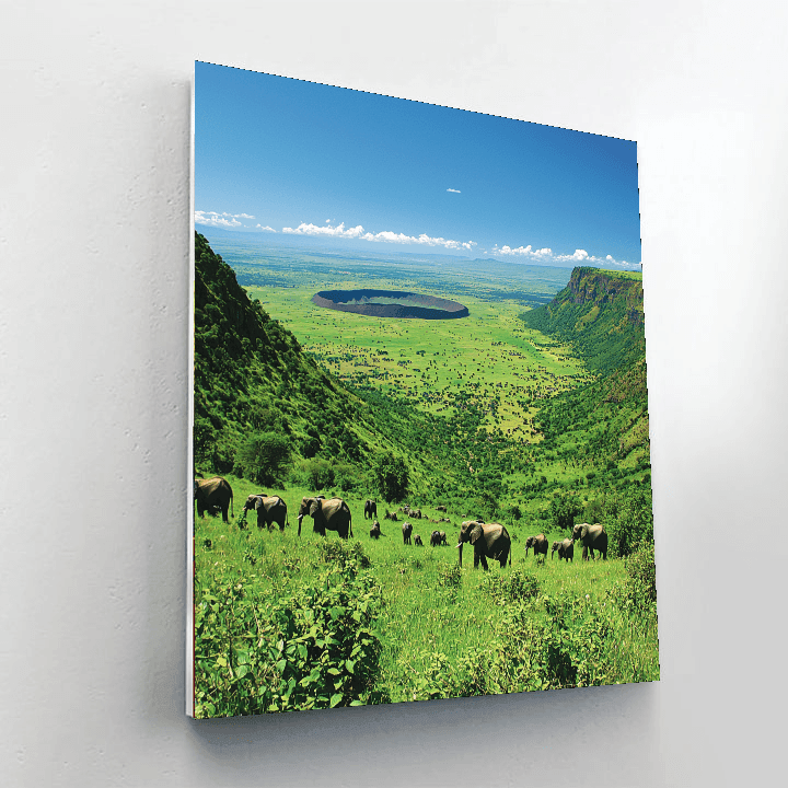 Ngorongoro Crater DIY Paint By Numbers