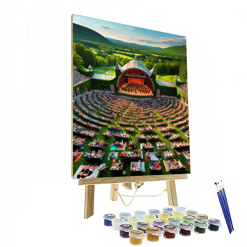 Tanglewood Music Festival - Lenox Paint By Numbers Kits
