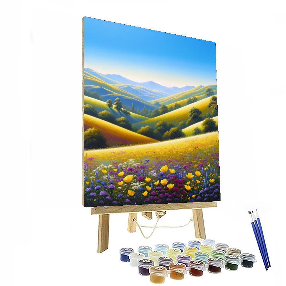 Sunny Meadow Melody Paint By Numbers Art