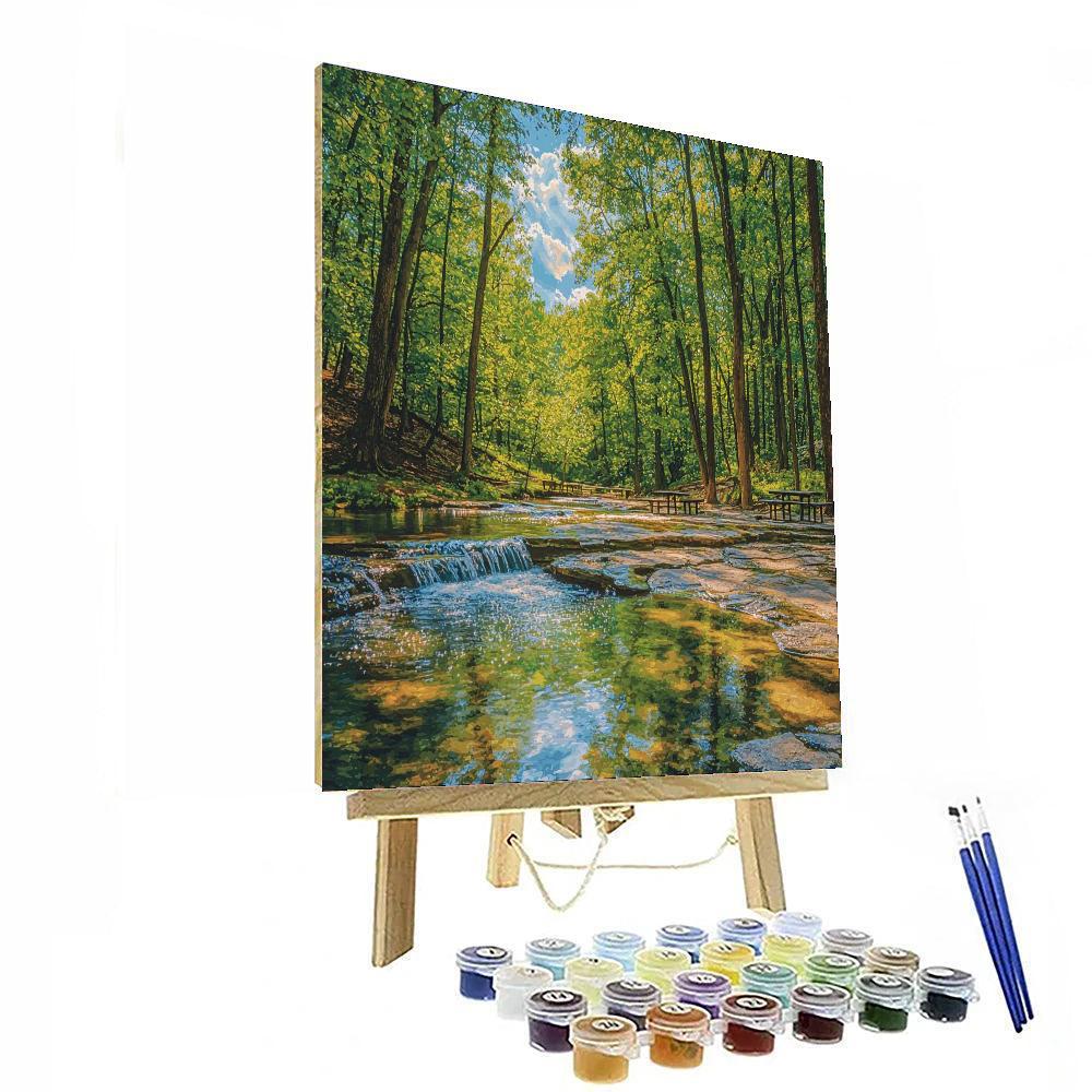 Bubbling Springs Number Painting