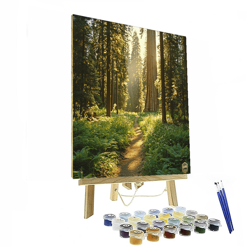 Sequoia National Park - California, Usa Numbered Painting Kits
