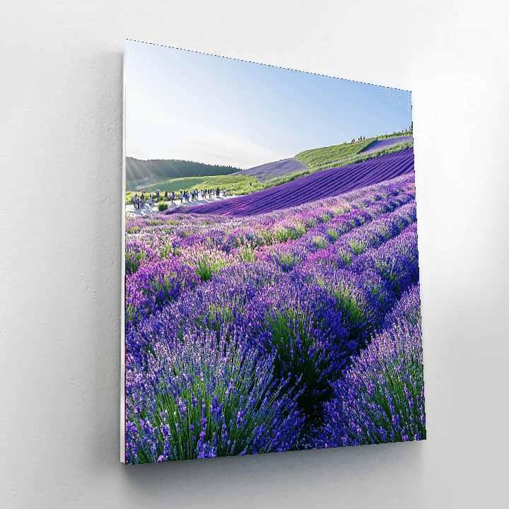 Hokkaido’s Furano Flower Fields DIY Paint By Numbers