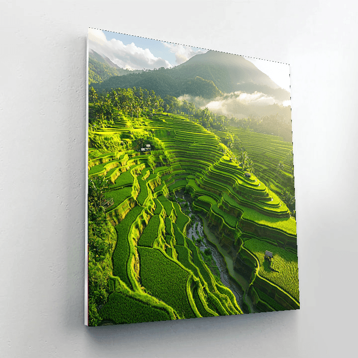 Banaue Rice Terraces Paint By Numbers