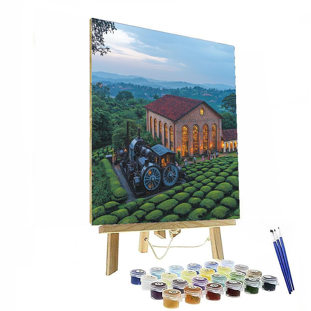 Kandy's Ceylon Tea Museum - Sri Lanka DIY Paint By Numbers