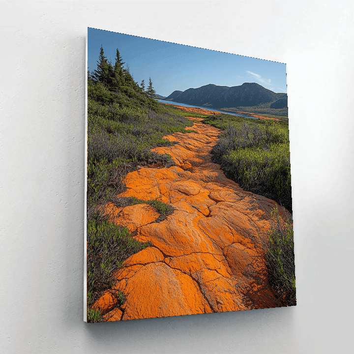 Tablelands - Gros Morne National Park, Canada Paint By Numbers Kits