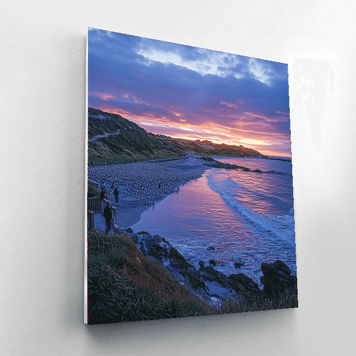 Penguin Parade - Australia Number Painting