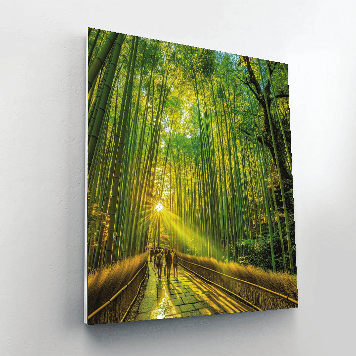 Arashiyama Bamboo Grove - Japan DIY Paint By Numbers
