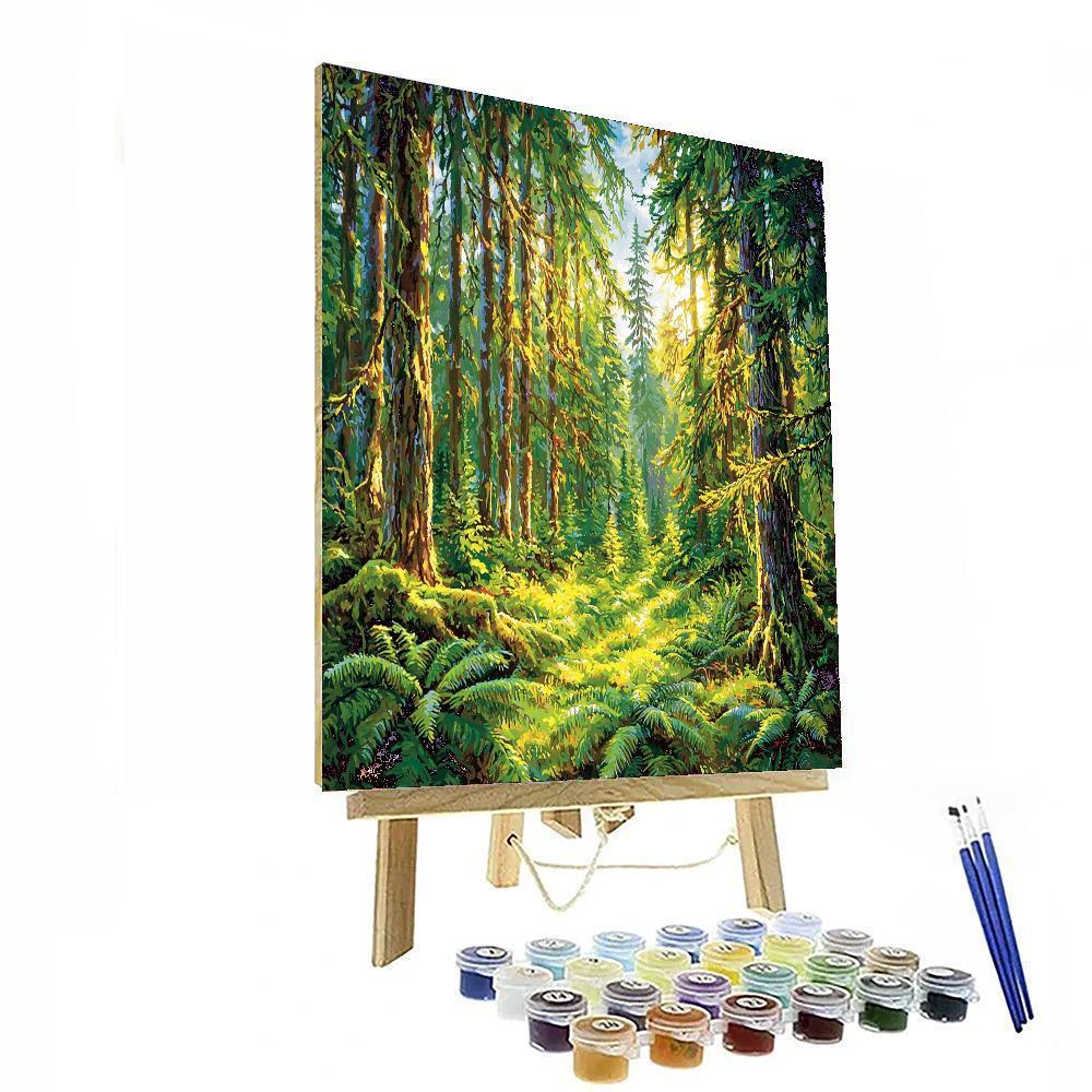 Hoh Rainforest - United States Numbered Painting Kits