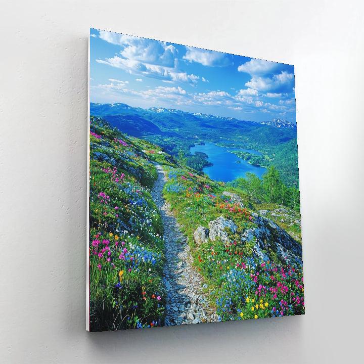 Kungsleden Trail - Sweden Paint By Color