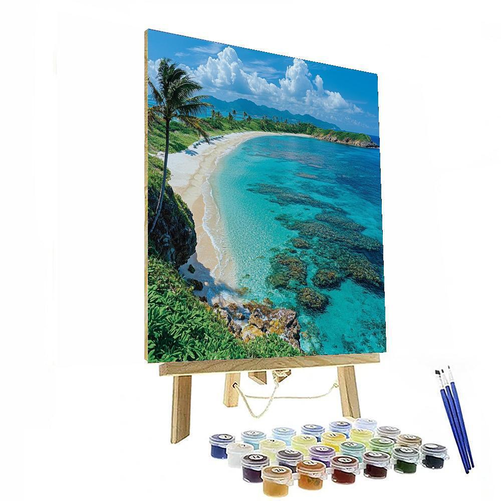 Okinawa Islands - Japan Paint By Number