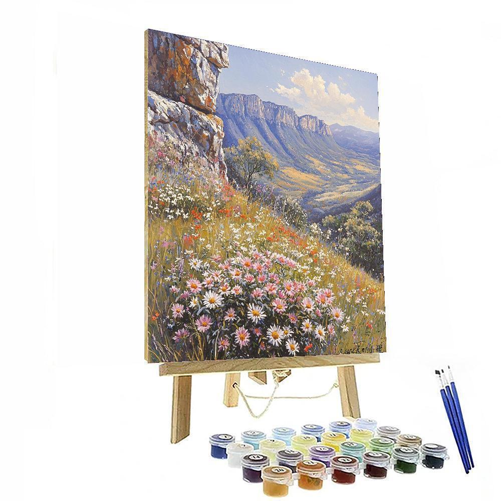 The Grampians National Park Painting Number Kit