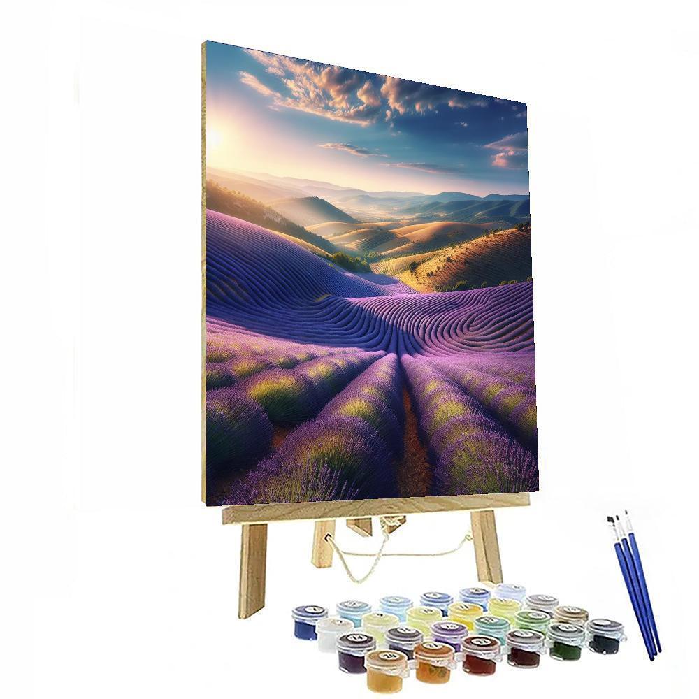 Sunlit Provence Lavender Fields Numbered Painting Kits