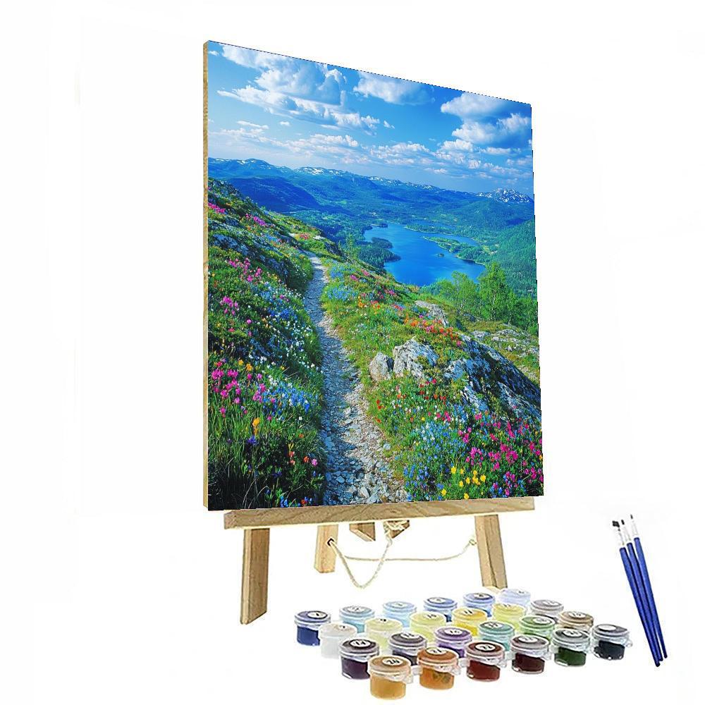 Kungsleden Trail - Sweden Paint By Color