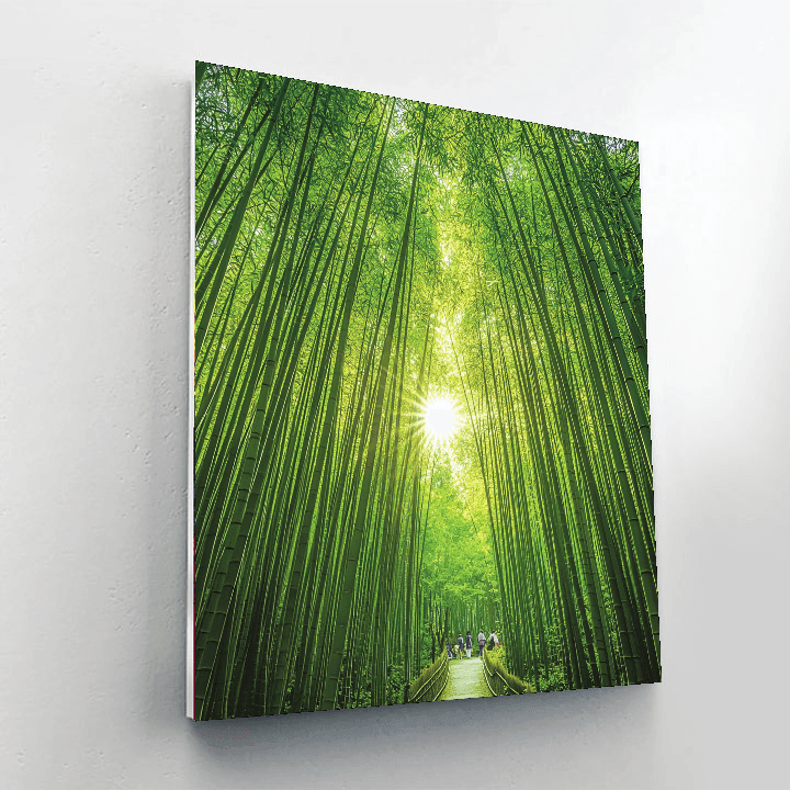 Bamboo Forest - Chengdu DIY Paint By Numbers