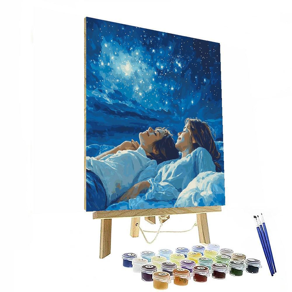 An Evening Under Stars Paint By Numbers Kits
