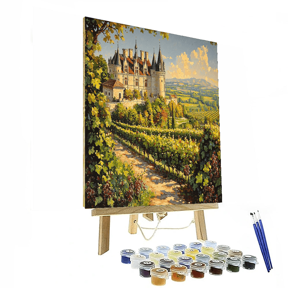 Loire Valley Castles - France Paint By Numbers