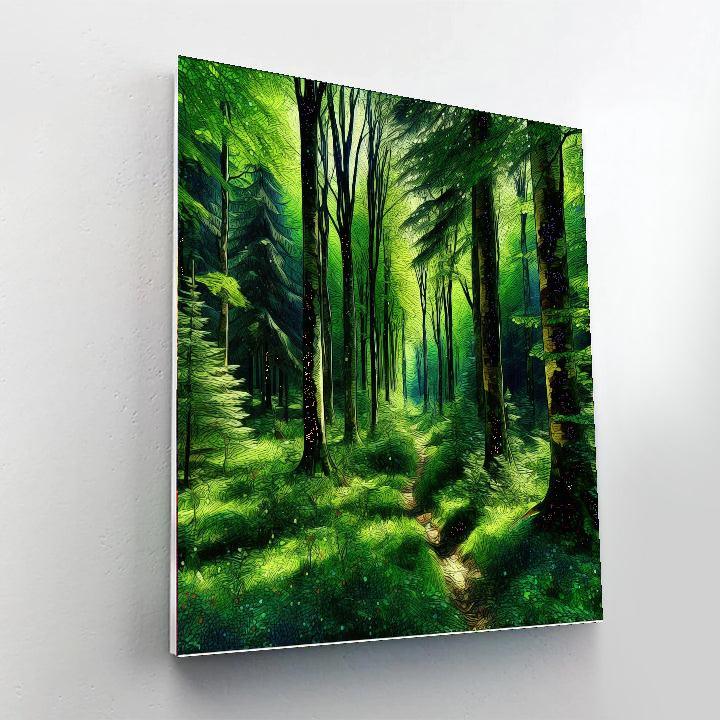 Forest Adventure Trail DIY Paint By Numbers