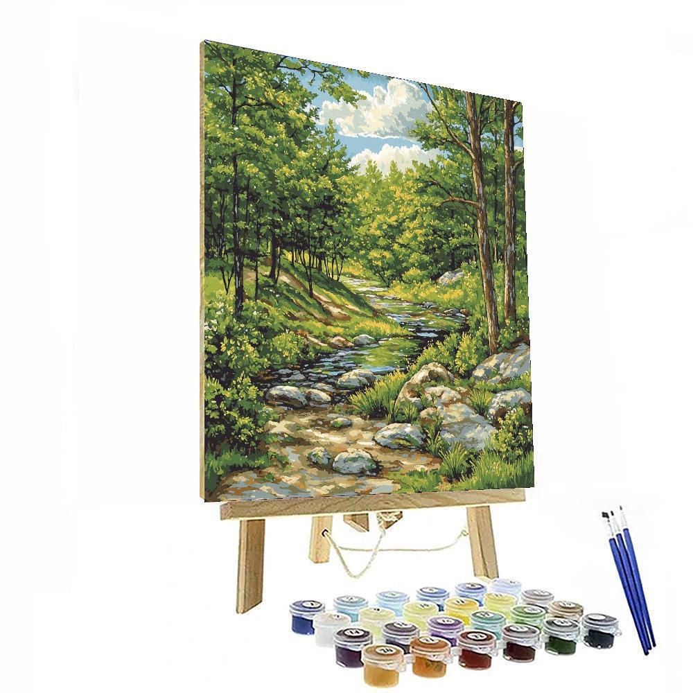 Embraced By Nature DIY Paint By Numbers