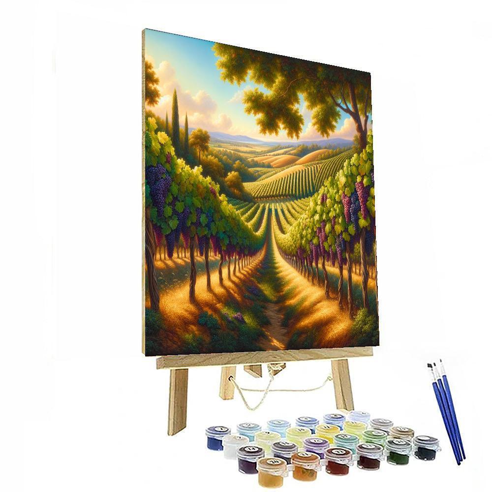 Aromas Of The Vineyard Paint By Number