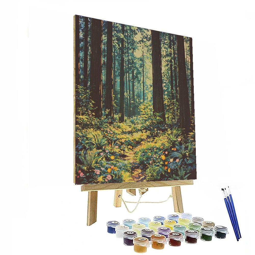 Redwood National And State Parks - California Numbered Painting Kits