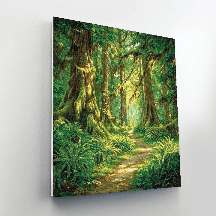 Hoh Rainforest - Olympic National Park Numbered Painting Kits