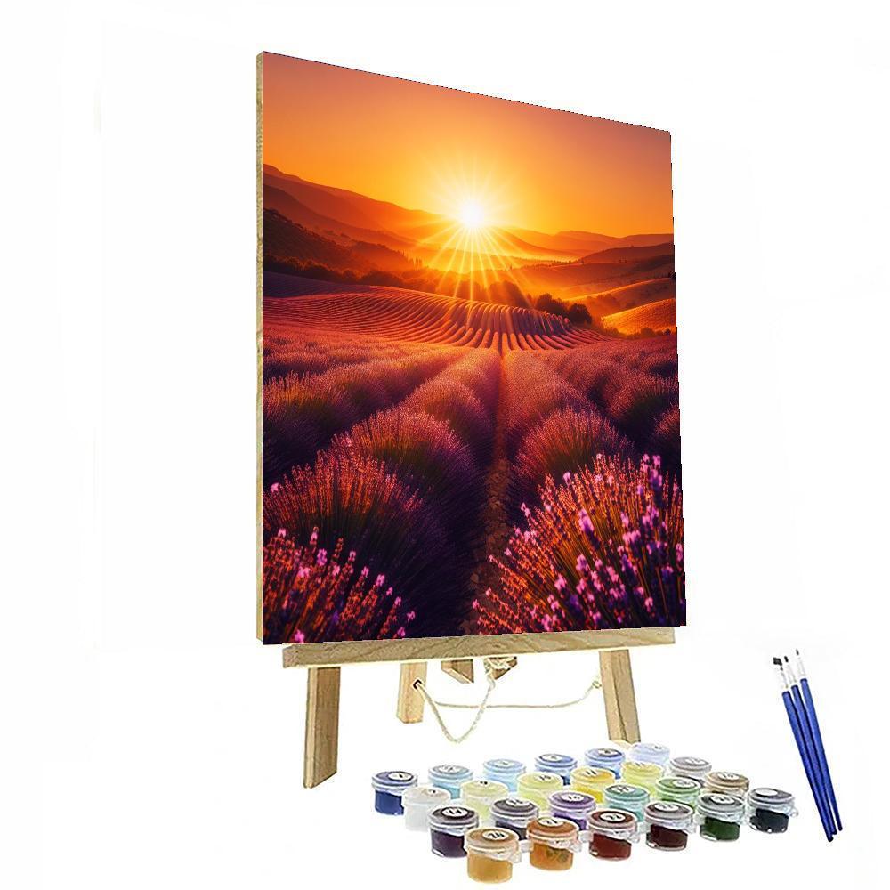 Charming Provence Lavender Fields Paint By Color