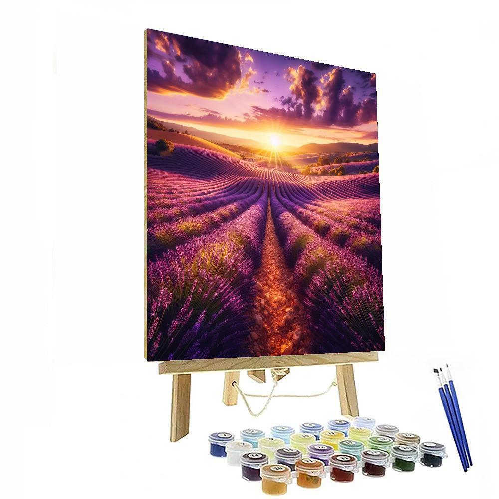 Sunlit Provence Lavender Paint By Numbers Kits