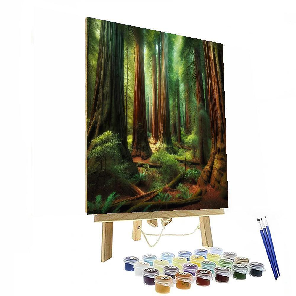 Forest Of Giant Redwoods Paint By Color