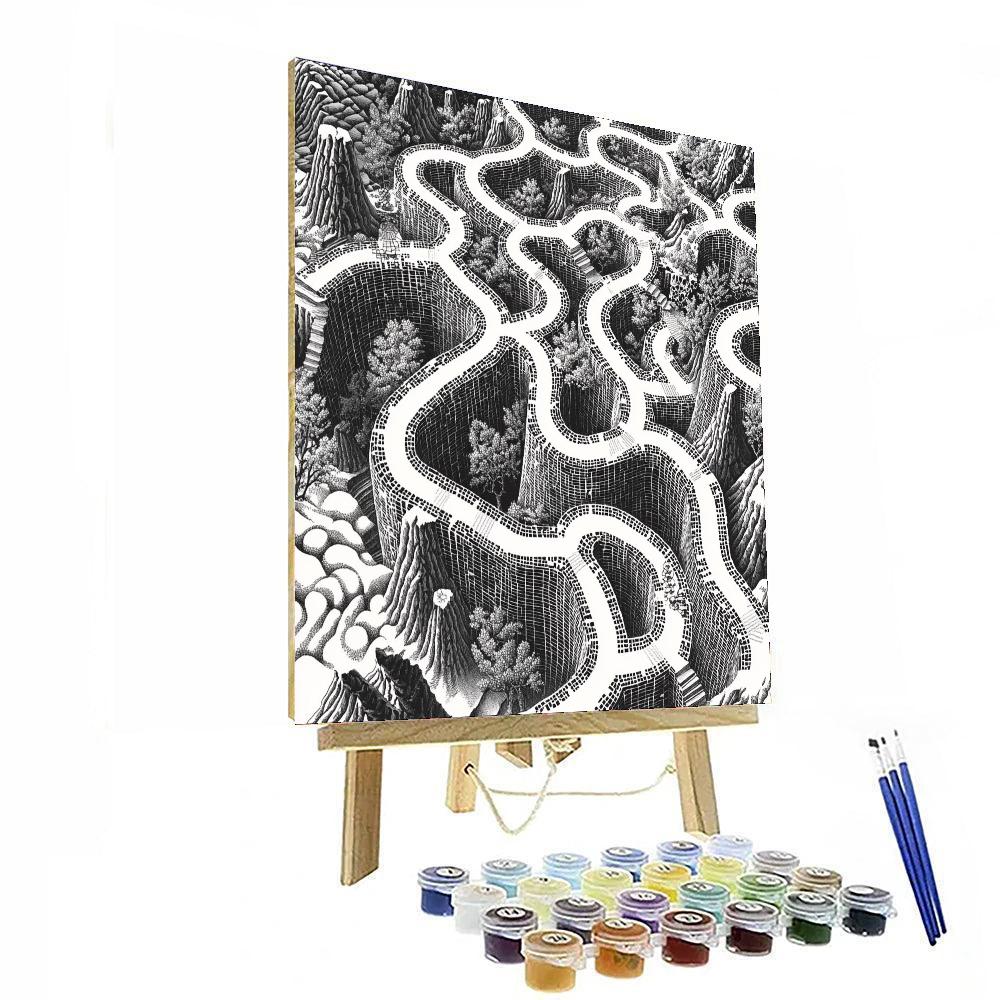 M.C. Escher Inspired Labyrinthine Pathways  Numbered Painting Kits