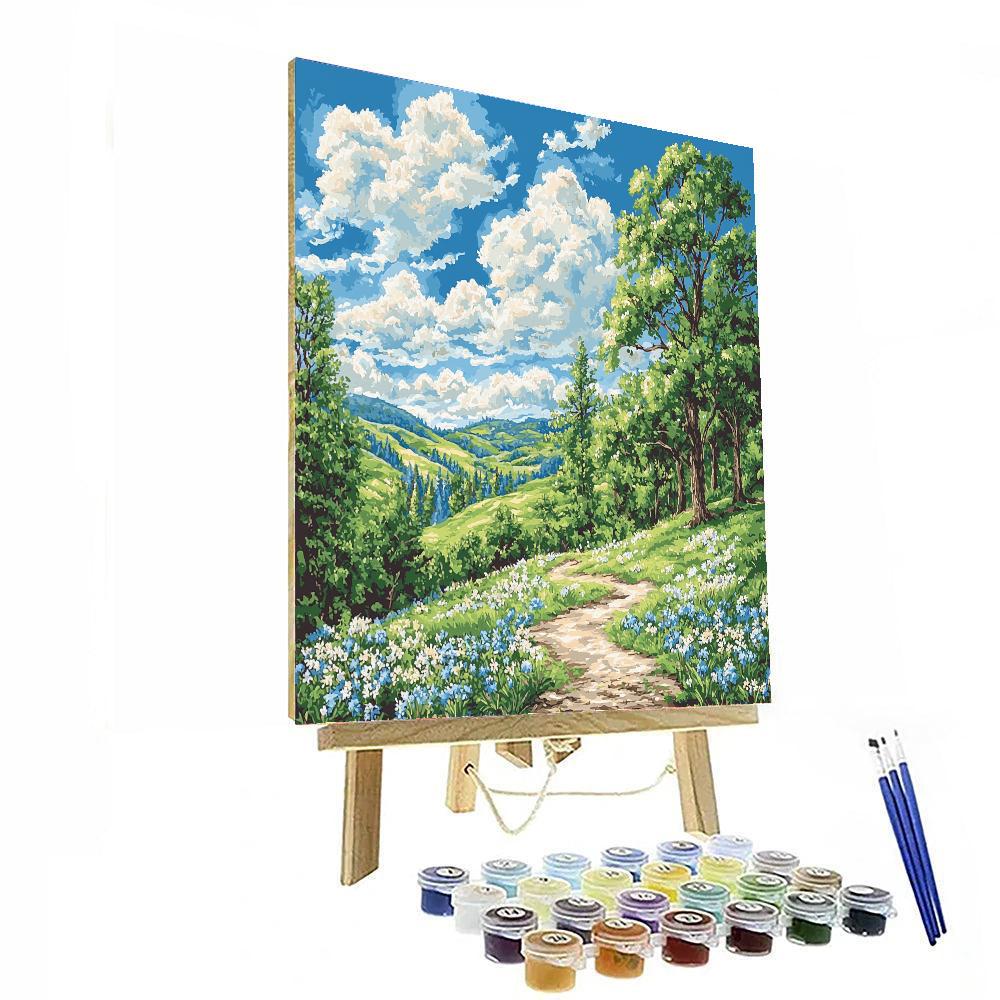 Cloud Watching Paint By Numbers