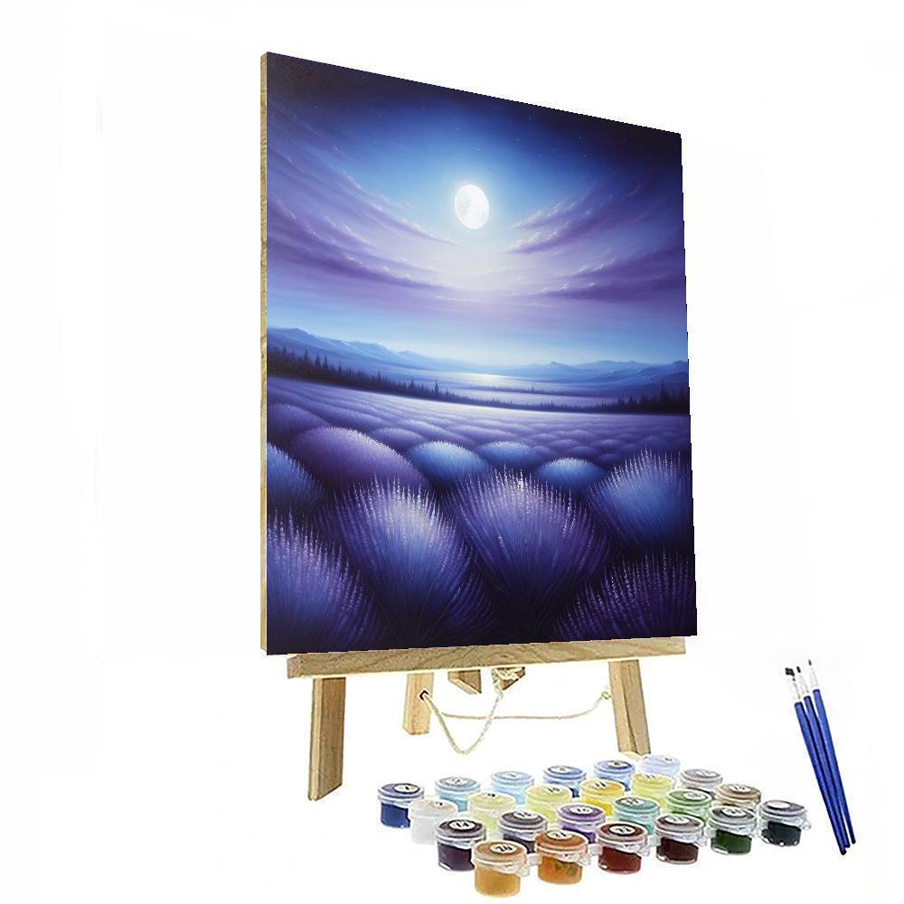 Midnight In Provence Painting By Numbers Kit