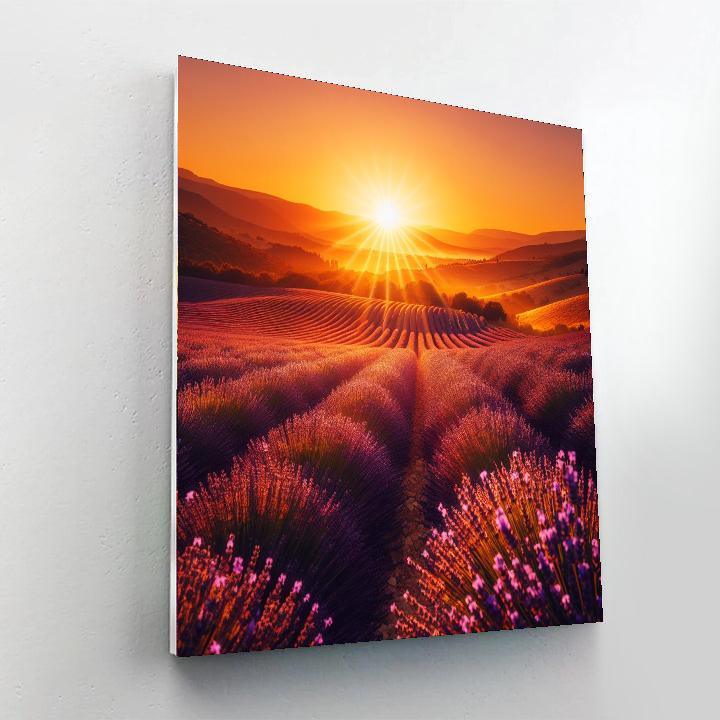Charming Provence Lavender Fields Paint By Color